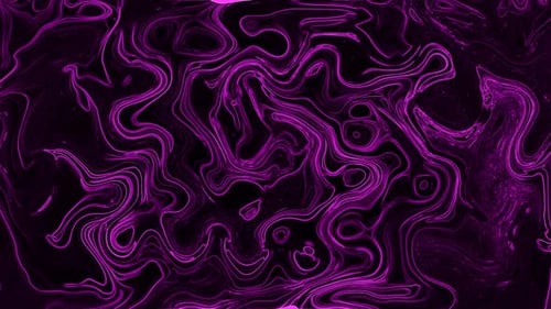 Abstract Purple Fluid Lines Looping Motion Background