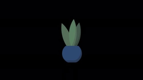 4K-Vasenanimationsvideo — transparent