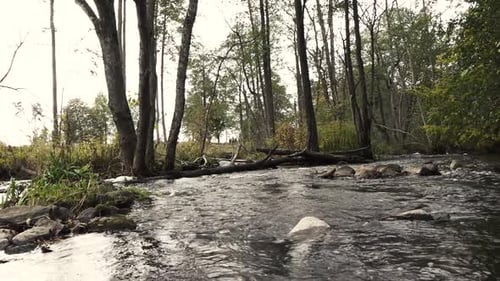 Der Fluss ist mit Starkregen überflutet