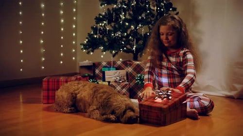 Emotions From a Christmas Gift A Girl Opens a Box in a Room Decorated for Christmas Tree and a