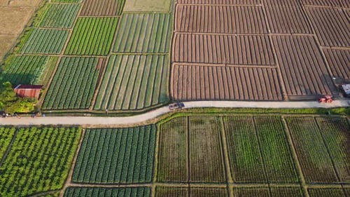 Aerial view of fields and agricultural parcels. Farmer in tractor preparing land with seedbed