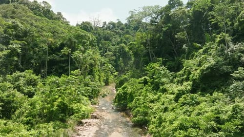 Aerial fliegt tagsüber über einen kleinen Fluss im Amazonas-Regenwald in Peru.