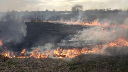 Orangenflammen verbrennen landwirtschaftliche Felder