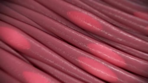 Close-up of pink fabric with red spots