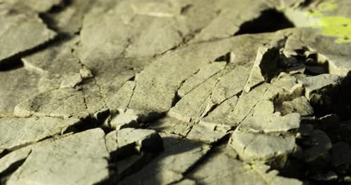 Detailed View of Cracked Rock Surface with Green Moss in Natural Light