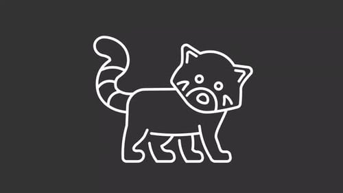 Animated red panda white icon