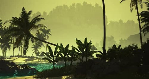 Animated Tropical Beach Landscape with Palm Trees and Gentle Waves