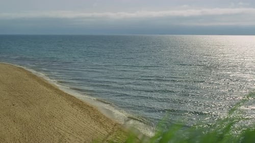 Aerial View Empty Beach Sea Shore. Green Grass Blowing Wind by Crashing