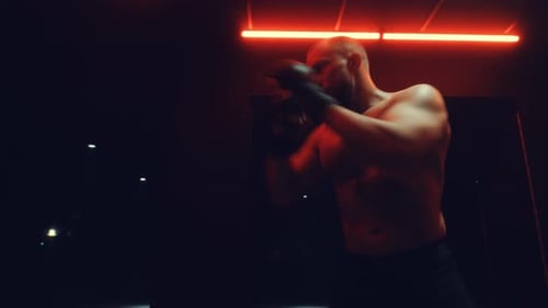 Fight Training