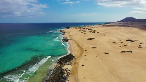 Aerial view of beach in Corralejo Park, Fuerteventura, Canary Islands. Corralejo Beach (Grandes Play