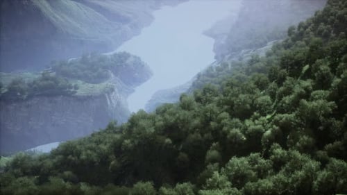 Luftaufnahme des Regenwald-Ökosystems und der gesunden Umwelt