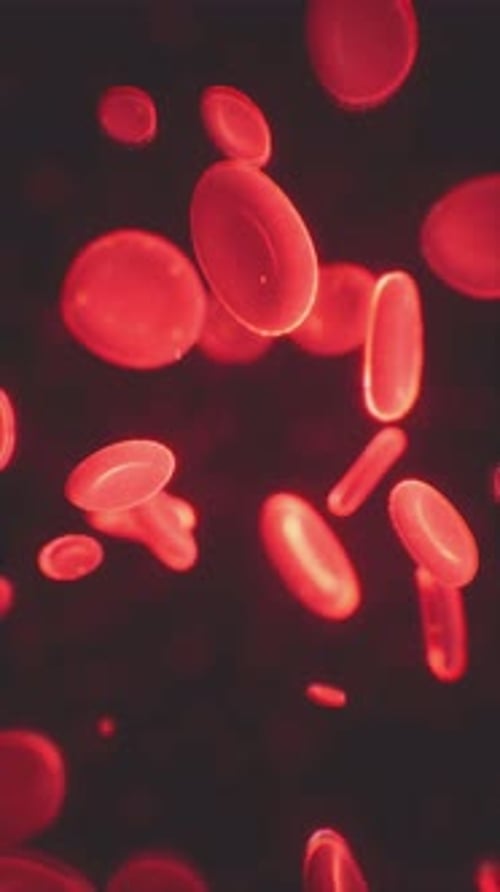 Healthy Human Red Bloodcells Abstract Concept