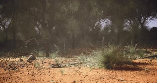 Desert Landscape with Sparse Vegetation and Rocky Terrain Under a Cloudy Sky