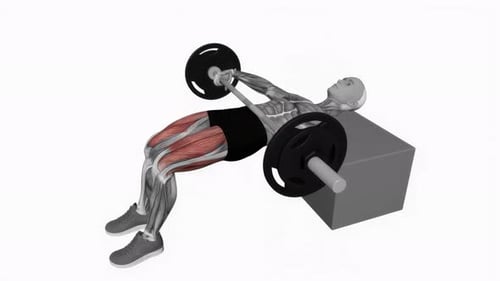 Barbell Kas Glute Bridge fitness exercise workout animation video male muscle highlight 4K 60 fps
