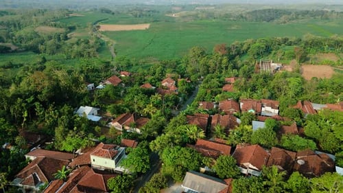 Aerial view of local house village with green field