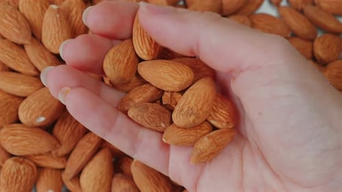Hand Holding Pile of Shelled Almonds Close Up