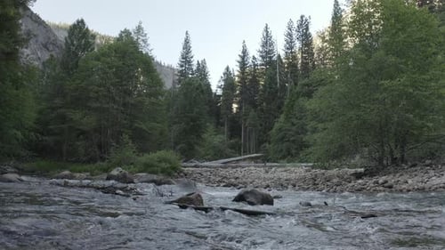 Cool Running Stream