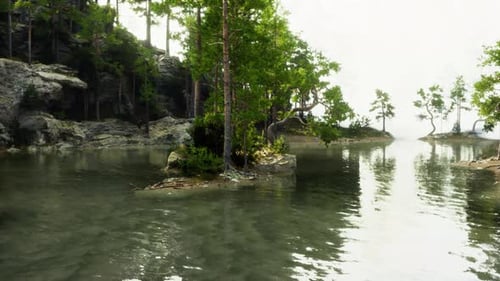 Blue Water in a Forest Lake with Pine Trees