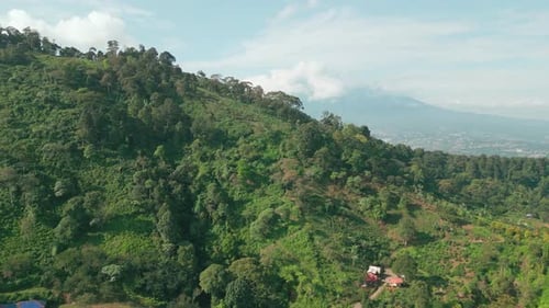 Tropical Forest Park