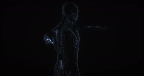 3D Holographic Human Skeleton Scan with Glowing Joints