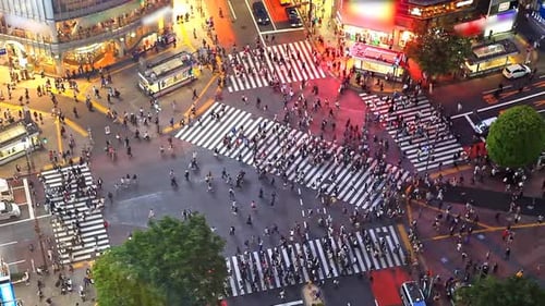 Lapso de tempo da vista aérea da travessia de Shibuya em Tóquio