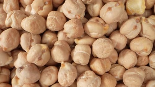Fresh Chickpeas Filling the Frame in Close Up
