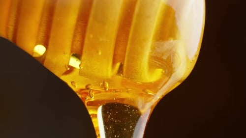 Close Up of Dripping Honey on Black Background