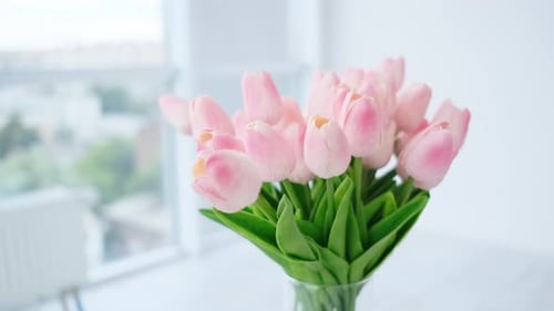 Pink Tulips in Vase on White Table