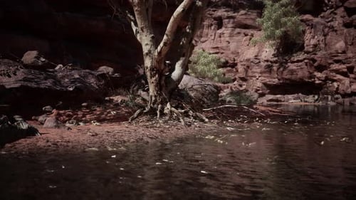 Reflection in Colorado River of Butte Catching Days Last Rays in Grand Canyon