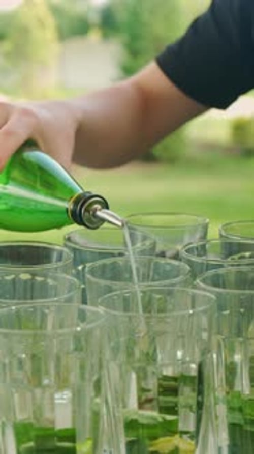 Refreshing Outdoor Beverage Summer Garden Drink Presentation Lime and Mint Garnish Enhances Drink