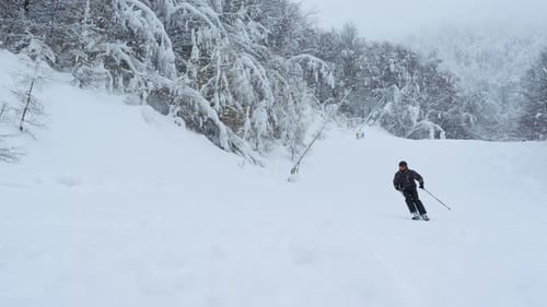 Skiabenteuer in verschneiter Landschaft
