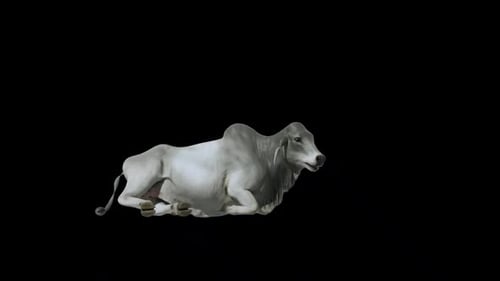 Boucle de vie en forme de vache Brahman