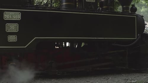 Steam Train Locomotive In Forest