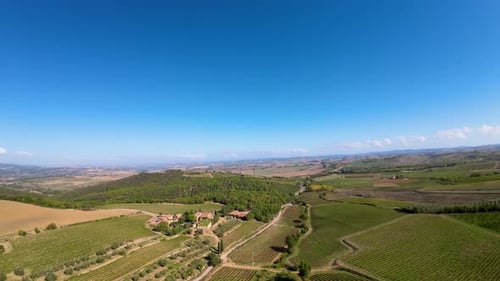 Vineyards aerial view