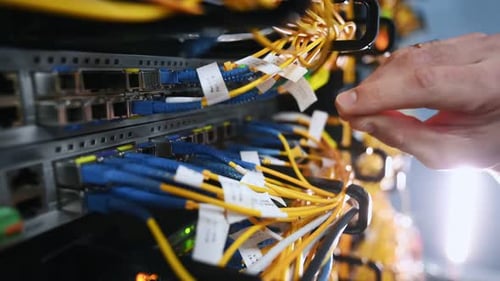Close up view of hand that fixing internet.