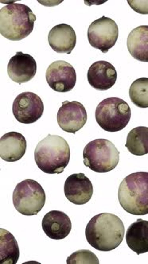 Organic Root Vegetables Gently Falling on White