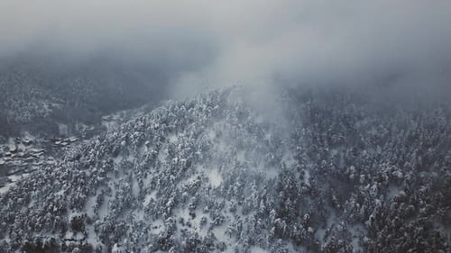 Snowy Winter Forest Landscape Aerial View