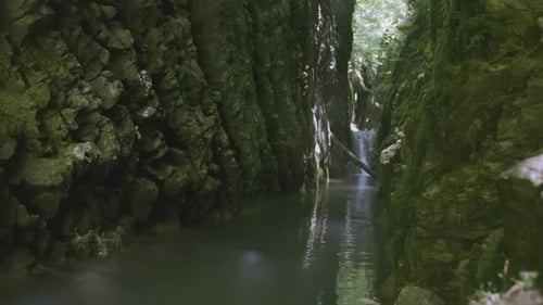 A Small Gorge with Trees Growing on Top and a Muddy Mountainous Small River Flowing From Below