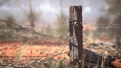 Barbed Wire Fence in Field