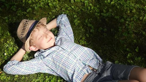 Little boy snoozes on the ground on the sunny afternoon under the tree