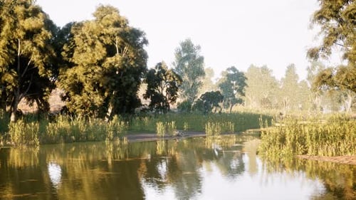 Serene Riverside View with Lush Trees and Tranquil Water During Daylight