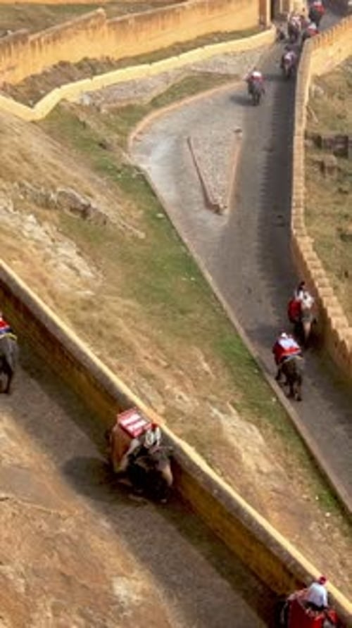 Touristes chevauchant des éléphants lors de l'ascension du fort d'Amer