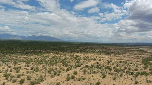 Aerial shot of the Sonoran desert in Arizona, slow moving drone shot