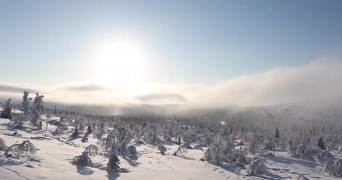 Winter landscape in Pallas Yllastunturi National Park, Lapland, Finland