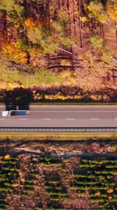 Cars and trucks driving on speedy highway in colorful fall forest.Vertical video