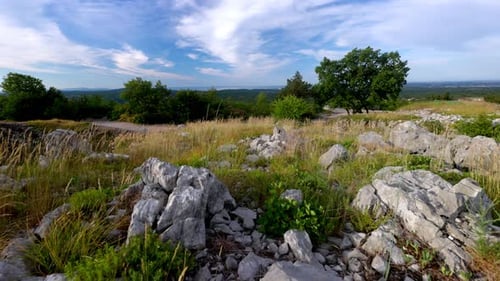 wide shot of a field in carso with rocks
