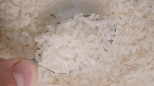 The close-up of a hand lifting a spoon with white rice grains upwards, with a background of rotating
