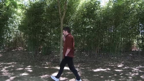 Appelez à Forest