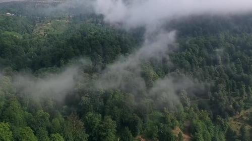 Lush Green Forest and Rolling Hills Covered in Clouds - 4K Drone Footage