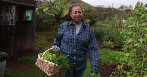 Farmer African Woman Walking Around Vegetables Garden - Agriculture Local Business And